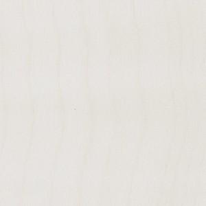 サンゲツ  リアテック  REATEC　RW-5039