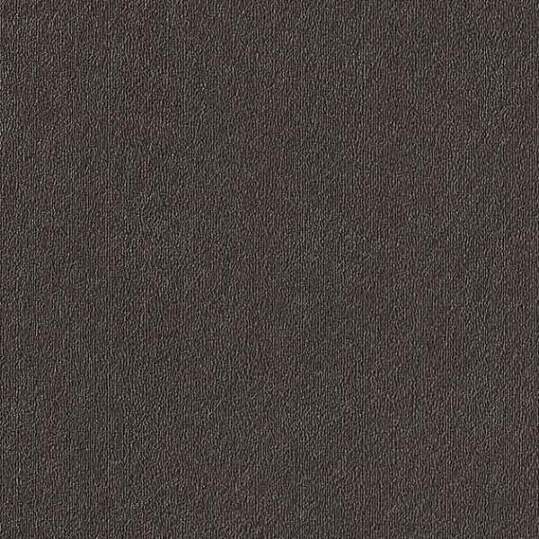 サンゲツ REATEC リアテック　TFE-5245