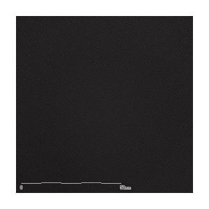 belbien ベルビアン　　TX-019