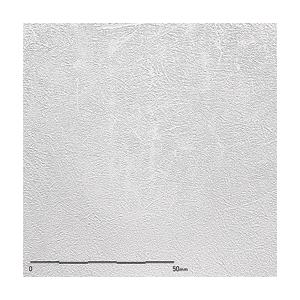 belbien ベルビアン　　TX-020