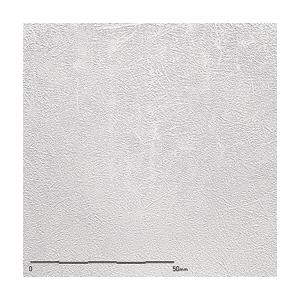 belbien ベルビアン　　TX-022