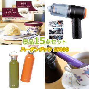 ビンゴ ゴルフコンペ 景品セット 15点 15000円 ハーゲンダッツ 抽選会｜getclub