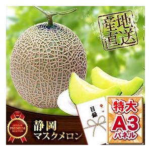 ビンゴ 景品 静岡マスクメロン1玉 引換券 A3パネル 忘年会 結婚式 二次会 ゴルフコンペ 2400 Ta3 景品ゲットクラブ 通販 Yahoo ショッピング