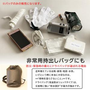 プール・ビーチ・スイム・ビニールドライ・海水浴...の詳細画像4