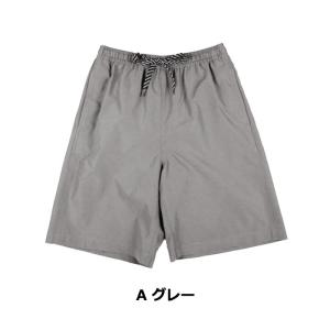 水着 メンズ 大きいサイズ 海水パンツ サーフ...の詳細画像2