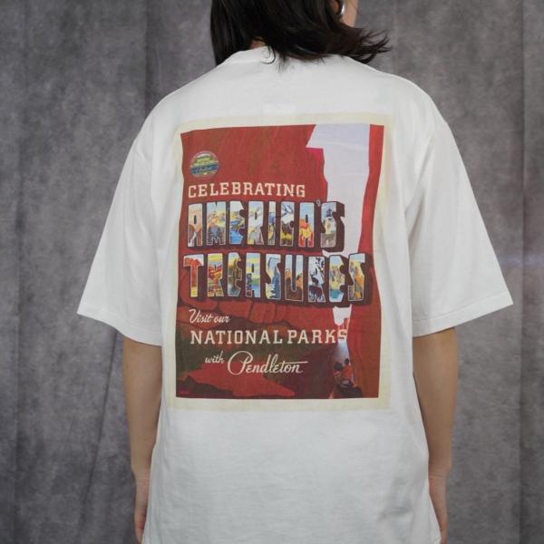 PENDLETON ペンドルトン ナショナルパークポスターT  キャンプ アウトドア ファッション ...