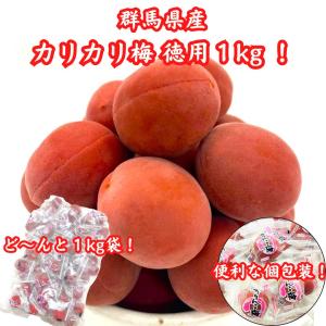 カリカリ梅 1kg 国産 大利根漬 常温便