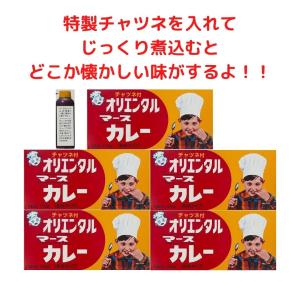 オリエンタル マースカレー 130g×5個の詳細画像2