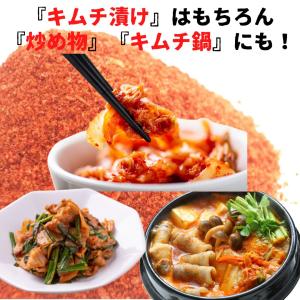 つけもと キムチ漬けの素 100g×5袋 キム...の詳細画像1