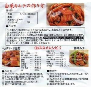 つけもと キムチ漬けの素 100g×5袋 キム...の詳細画像2