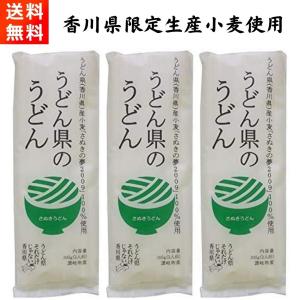 讃岐物産 うどん県のうどん 300g×3袋 さ...の詳細画像1