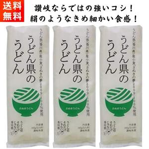 讃岐物産 うどん県のうどん 300g×3袋 さ...の詳細画像2