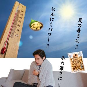 たまりにんにく 漬物 160g×3袋 北杜食品...の詳細画像3