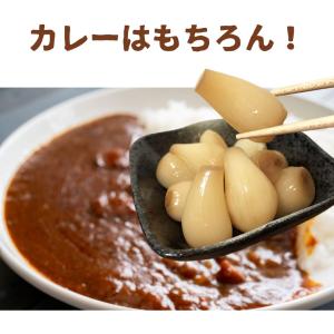 奄美きび酢 らっきょう 90g×3個セット 国...の詳細画像2