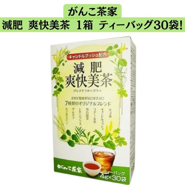 がんこ茶家 減肥爽快美茶 1箱 ティーバッグ 4g×30袋