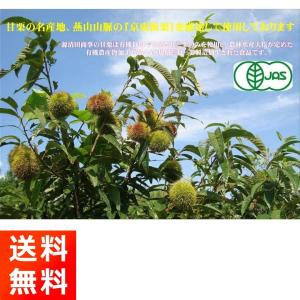 有機むき甘栗 80g×10袋セット 甘味料・香...の詳細画像3