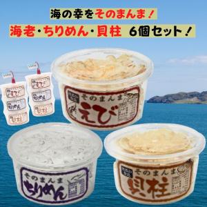 回帰水の保存水(2L×6本×2ケース) : タイセイオンラインショップ - 通販