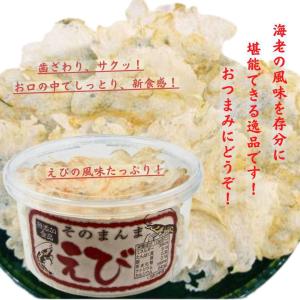 オカベ そのまんまセット 10g×6個 えび ...の詳細画像2