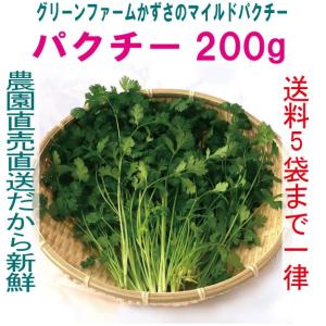 パクチー 200g 生野菜 税込 常温便 鮮度保持フィルム包装 トレファームの砂栽培育ちで元気な野菜です！｜gfkazusa-premium