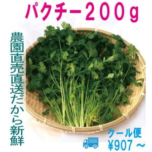 パクチー 200g 生野菜 税込 クール便 鮮度保持フィルム包装 トレファームの砂栽培育ちで元気な野菜です！｜gfkazusa-premium