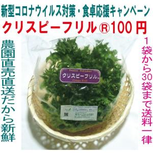 新型コロナウイルス対策・食卓応援 フリルレタス クリスピーフリル