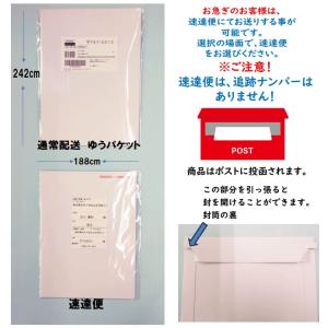 会葬礼状 2枚 カード 葬儀お礼状 告別式 低価格の詳細画像2