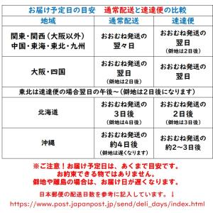 会葬礼状 2枚 カード 葬儀お礼状 告別式 低価格の詳細画像3