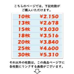 喪中はがき 印刷 10枚〜30枚 名入れ有 官...の詳細画像1