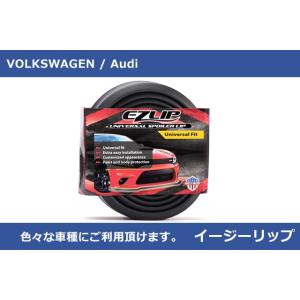 EZ LIP・イージーリップ フレキシブル リップ・ブラック