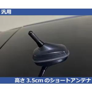 長さ35mm のショートアンテナ カーボン調 VW/Audi Tクロス T-CROSS ポロ POL...