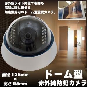 防犯カメラ ドーム型 レコーダー RCA接続 録画 業務用 BNC端子 赤外線暗視機能 軽量 壁 天井 高感度センサー 監視カメラ｜ggbank