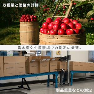 台はかり デジタル 100kg 業務用 はかり...の詳細画像3