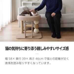 キャットタワー 据え置き 安定 低い 低め 小...の詳細画像2