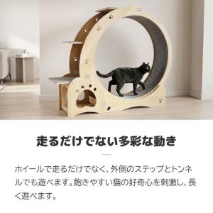 キャットホイール 猫 大きい ランニングホイー...の詳細画像2