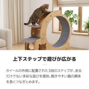 キャットホイール 猫 大きい ランニングホイー...の詳細画像4