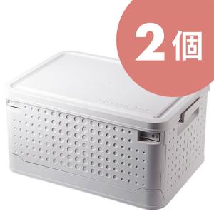 SPACE MADE 折りたたみコンテナ 46L グレー 耐荷重約35kg コンテナ