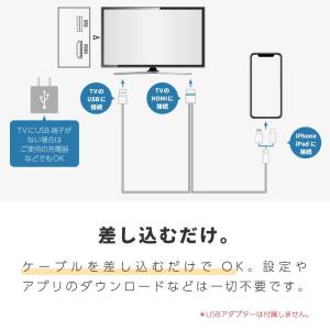 ミラーリング iphone ミラーリングケーブ...の詳細画像3