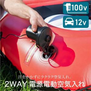 空気入れ プール 電動 浮き輪 空気抜き 100vタイプ 家庭用電源 シガーソケット 車 自動 エアーポンプ｜ggbank