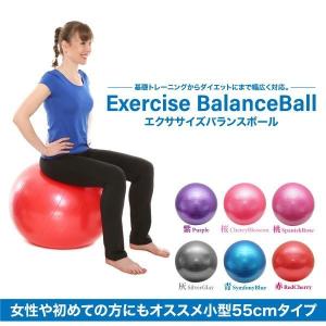 バランスボール 55cm 6色 空気入れポンプ付き アンチバースト