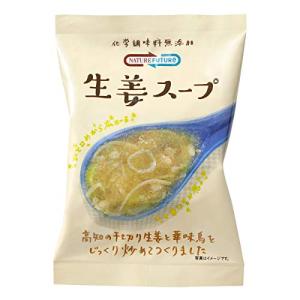 コスモス食品 Nature Future 生姜スープ 10.6g *10袋｜ggf1-store