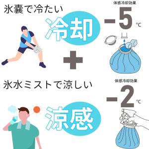 氷のう 氷嚢 スプレー ゴルフ スポーツ スプ...の詳細画像2