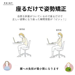 クッション 椅子用 腰痛 低反発 座布団 痔 ...の詳細画像4