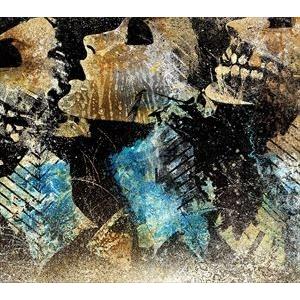 輸入盤 CONVERGE / AXE TO FALL [CD]