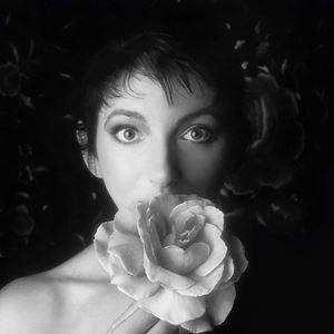 輸入盤 KATE BUSH / REMASTERED IN VINYL 2 [4LP]