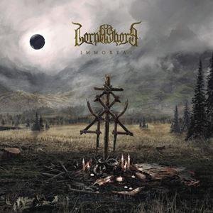 輸入盤 LORNA SHORE / IMMORTAL [LP]