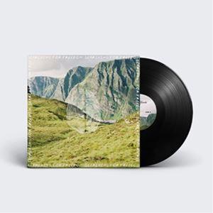 輸入盤 ZIGGY ALBERTS / SEARCHING FOR FREEDOM [LP]