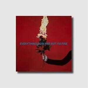 輸入盤 AS DECEMBER FALLS / EVERYTHING’S ON FIRE BUT I...