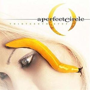 輸入盤 PERFECT CIRCLE / THIRTEENTH STEP -HQ- [2LP]｜ggking