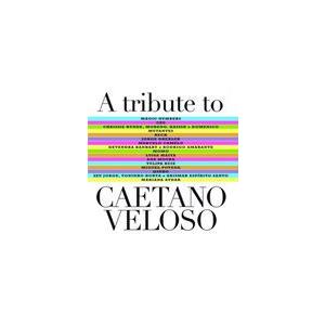 輸入盤 VARIOUS / TRIBUTE TO CAETANO VELOSO [CD]