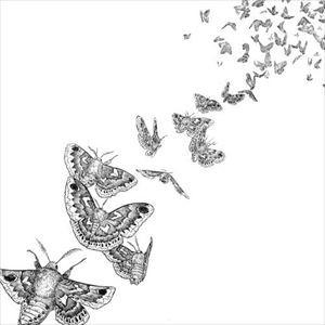 輸入盤 DES ARK / EVERYTHING DIES [TAPE]
